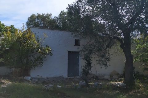 Lejlighed i Ostuni, Brindisi, Ostuni - € 145.000 | Ref: 134 - foto 21