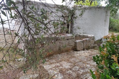 Lejlighed i Ostuni, Brindisi, Ostuni - € 145.000 | Ref: 134 - foto 17