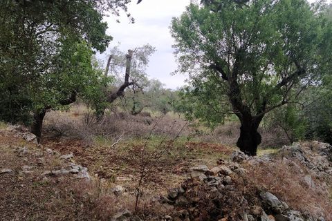 Lejlighed i Ostuni, Brindisi, Ostuni - € 145.000 | Ref: 134 - foto 22
