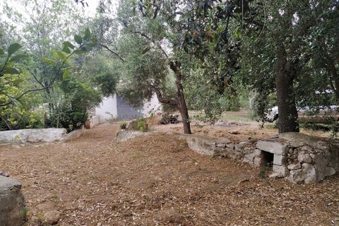 Lejlighed i Ostuni, Brindisi, Ostuni - € 145.000 | Ref: 134 - foto 11