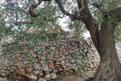 Lejlighed i Ostuni, Brindisi, Ostuni - € 145.000 | Ref: 134 - foto 16