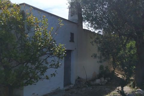 Lejlighed i Ostuni, Brindisi, Ostuni - € 145.000 | Ref: 134 - foto 24