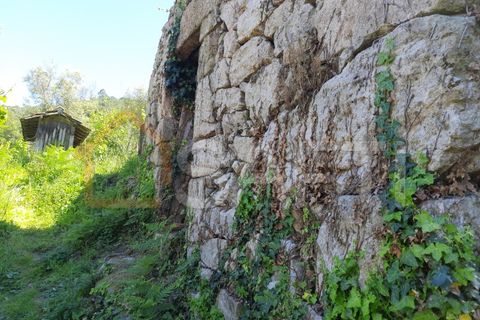 Landejendom i Abedim, Viana do Castelo, Abedim - € 60.000 | Ref: SAFTI:001067 - foto 3