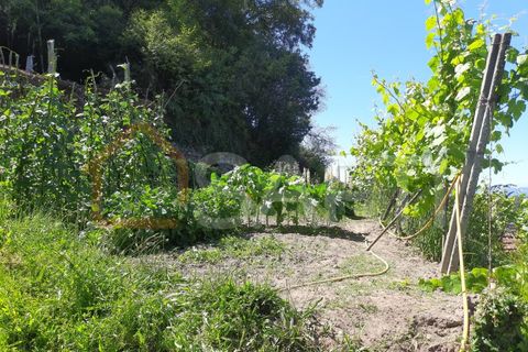 Landejendom i Abedim, Viana do Castelo, Abedim - € 60.000 | Ref: SAFTI:001067 - foto 7