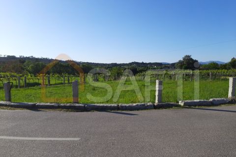 Helårsgrund i Moncao, Viana do Castelo, Moncao - € 33.000 | Ref: SAFTI:001087 - foto 3