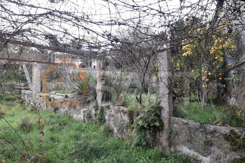 Landejendom i Moncao, Viana do Castelo, Moncao - € 60.000 | Ref: SAFTI:00589 - foto 4