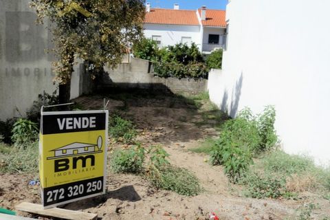 Helårsgrund i Castelo Branco, Castelo Branco, Castelo Branco - € 49.000 | Ref: 4184 - foto 4