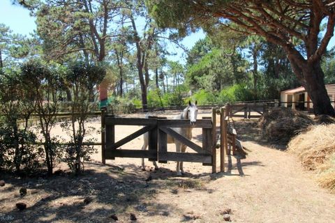 Villa i Almocageme, Lisbon, Almocageme - € 3.500.000 | Ref: M626 - foto 7