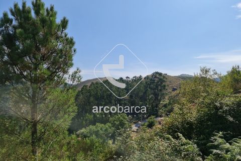 Tomt i Ponte da Barca, Viana do Castelo, Ponte da Barca - € 18 000 | Ref: AV5172 - foto 6