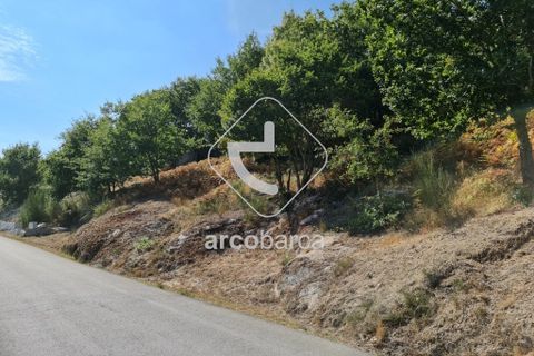 Tomt i Ponte da Barca, Viana do Castelo, Ponte da Barca - € 18 000 | Ref: AV5172 - foto 10