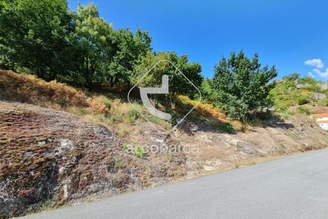 Tomt i Ponte da Barca, Viana do Castelo, Ponte da Barca - € 18 000 | Ref: AV5172 - foto 3