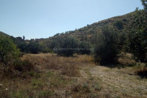 Farm hus i Arboleas, Almeria, Arboleas - € 48.000 | Ref: APS 1785 - foto 5