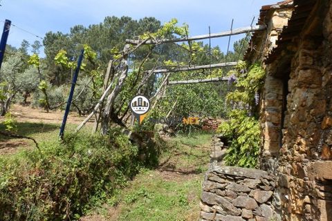 Villa a Oleiros, Castelo Branco, Oleiros - € 160.000 | Ref: 2024 - foto 2