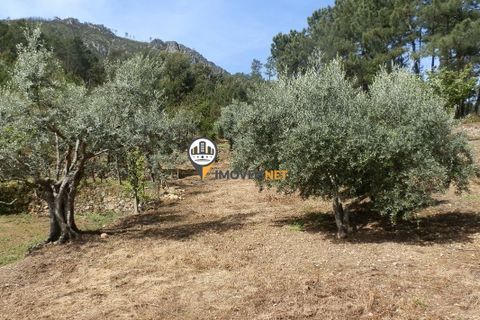Villa a Oleiros, Castelo Branco, Oleiros - € 160.000 | Ref: 2024 - foto 7