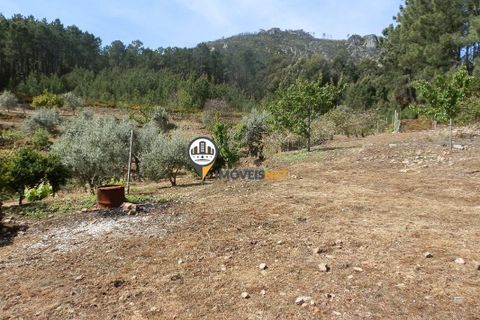 Villa a Oleiros, Castelo Branco, Oleiros - € 160.000 | Ref: 2024 - foto 11