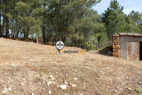 Villa a Oleiros, Castelo Branco, Oleiros - € 160.000 | Ref: 2024 - foto 12