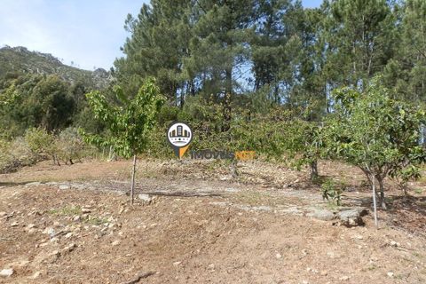 Villa a Oleiros, Castelo Branco, Oleiros - € 160.000 | Ref: 2024 - foto 13