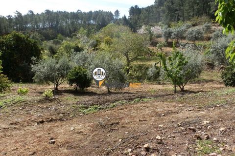 Villa a Oleiros, Castelo Branco, Oleiros - € 160.000 | Ref: 2024 - foto 20