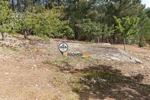 Villa a Oleiros, Castelo Branco, Oleiros - € 160.000 | Ref: 2024 - foto 21