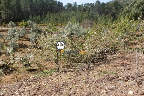 Villa a Oleiros, Castelo Branco, Oleiros - € 160.000 | Ref: 2024 - foto 22