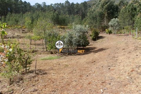 Villa a Oleiros, Castelo Branco, Oleiros - € 160.000 | Ref: 2024 - foto 23