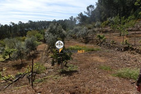 Villa a Oleiros, Castelo Branco, Oleiros - € 160.000 | Ref: 2024 - foto 24