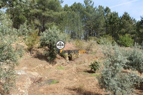 Villa a Oleiros, Castelo Branco, Oleiros - € 160.000 | Ref: 2024 - foto 25