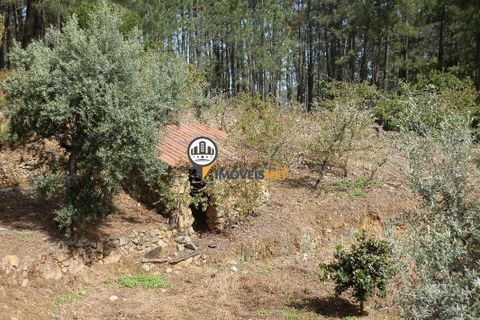 Villa a Oleiros, Castelo Branco, Oleiros - € 160.000 | Ref: 2024 - foto 26
