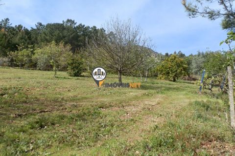 Villa a Oleiros, Castelo Branco, Oleiros - € 160.000 | Ref: 2024 - foto 28