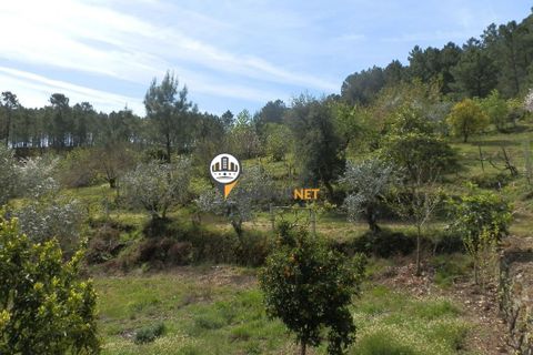 Villa a Oleiros, Castelo Branco, Oleiros - € 160.000 | Ref: 2024 - foto 29