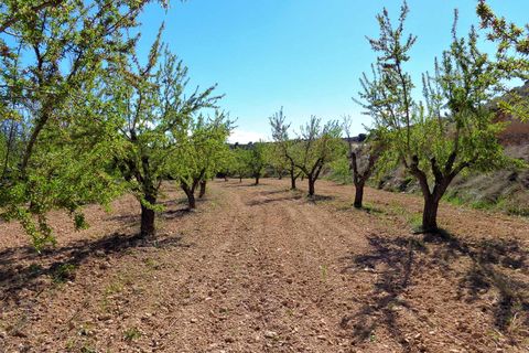 Finca i Maella, Zaragoza, Maella - € 14.000 | Ref: 0700 - foto 9