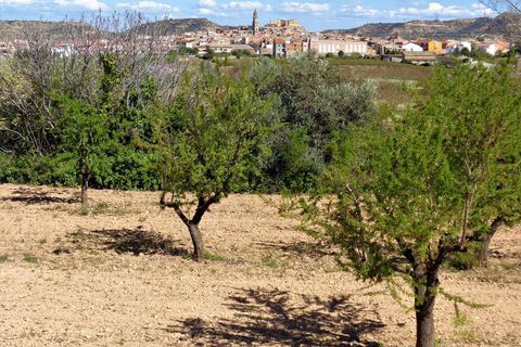 Finca i Maella, Zaragoza, Maella - € 14.000 | Ref: 0700 - foto 6