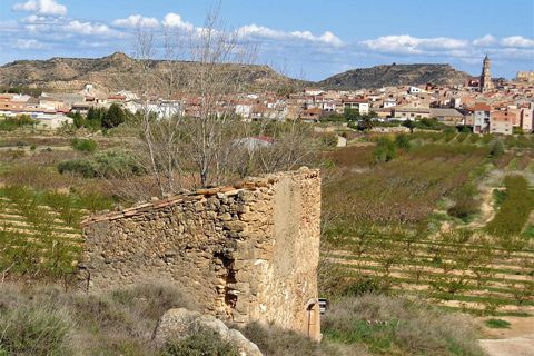 Finca i Maella, Zaragoza, Maella - € 14.000 | Ref: 0700 - foto 20