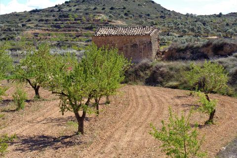 Finca i Maella, Zaragoza, Maella - € 14.000 | Ref: 0700 - foto 8