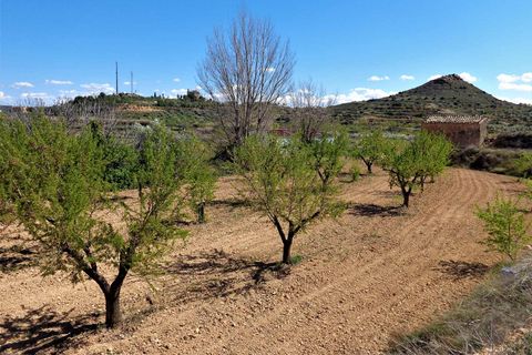 Finca i Maella, Zaragoza, Maella - € 14.000 | Ref: 0700 - foto 10