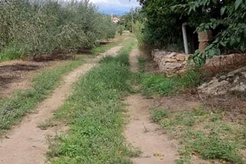 Finca i Mora La Nova, Tarragona, Mora La Nova - € 95.000 | Ref: Riverside 18 - foto 21
