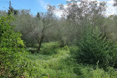 Finca i Mora La Nova, Tarragona, Mora La Nova - € 95.000 | Ref: Riverside 18 - foto 17