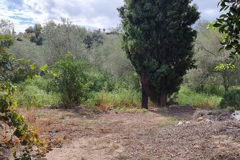 Finca i Mora La Nova, Tarragona, Mora La Nova - € 95.000 | Ref: Riverside 18 - foto 16