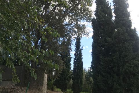Finca i Mora La Nova, Tarragona, Mora La Nova - € 95.000 | Ref: Riverside 18 - foto 8