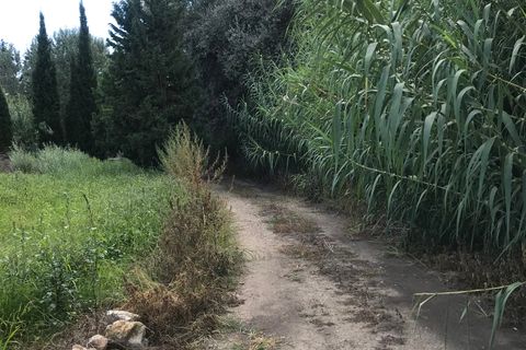 Finca i Mora La Nova, Tarragona, Mora La Nova - € 95.000 | Ref: Riverside 18 - foto 4