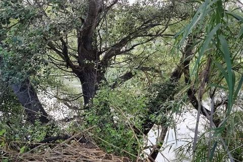 Finca i Mora La Nova, Tarragona, Mora La Nova - € 95.000 | Ref: Riverside 18 - foto 27
