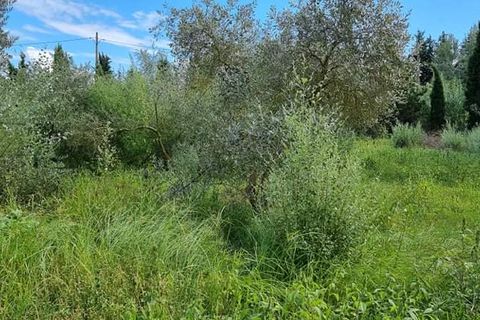 Finca i Mora La Nova, Tarragona, Mora La Nova - € 95.000 | Ref: Riverside 18 - foto 18