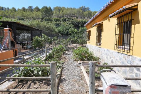Villa i Torrenueva, Granada, Torrenueva - € 794.900 | Ref: L361 - foto 4