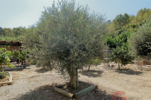Villa i Torrenueva, Granada, Torrenueva - € 794.900 | Ref: L361 - foto 12