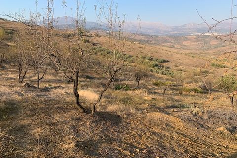 Helårsgrund i Vinuela, Malaga, Vinuela - € 63.000 | Ref: ID3897 - foto 17