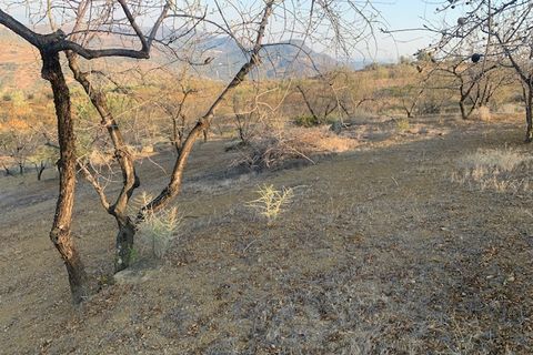 Helårsgrund i Vinuela, Malaga, Vinuela - € 63.000 | Ref: ID3897 - foto 22