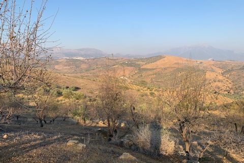 Helårsgrund i Vinuela, Malaga, Vinuela - € 63.000 | Ref: ID3897 - foto 18