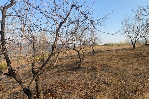 Helårsgrund i Vinuela, Malaga, Vinuela - € 63.000 | Ref: ID3897 - foto 16