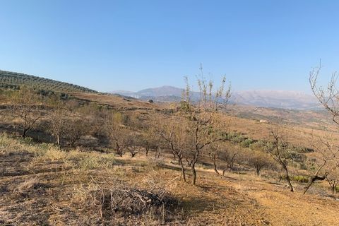 Helårsgrund i Vinuela, Malaga, Vinuela - € 63.000 | Ref: ID3897 - foto 5