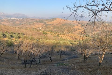 Helårsgrund i Vinuela, Malaga, Vinuela - € 63.000 | Ref: ID3897 - foto 23